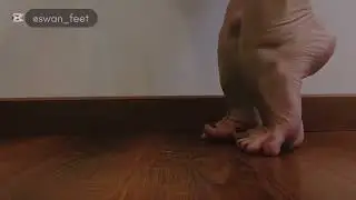 Feetswan and her beautiful ballerina feet and arches 😘❤️😍