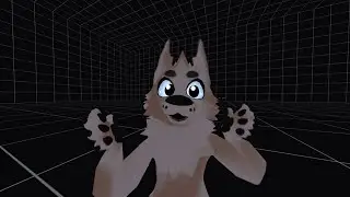 Thomas TailBass - A tutorial to the TailBass camera system.
