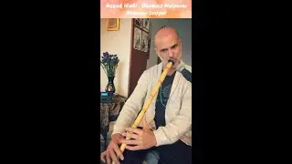 Ussak ilahi , Durmaz listenim - Mansur Looper