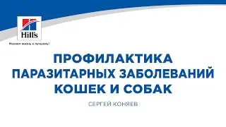 Вебинар на тему: 