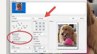 Is this the Best Image Viewer with Print Controls for Windows?