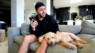 my dog has cancer.
