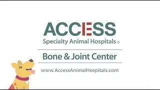 How Can the ACCESS Bone & Joint Center Help Your Pet?