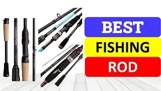 Top 10 Best Fishing Rod In 2023
