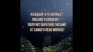 Омские ритуальные службы пробивают последнее дно в 2021 году