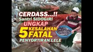 SEBELUM SORTIR LELE WAJIB TONTON VIDEO INI...!!!!
