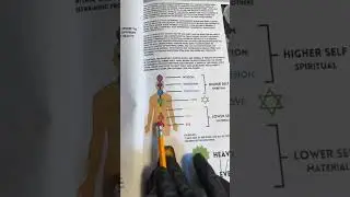 Higher Consciousness | God is Within | Book of Wisdom ✨️ #spiritualawakening #higherself