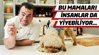 Kafama Rakı Şişesi Yedim | Dünya Pet Sektörünün Tek Şefi