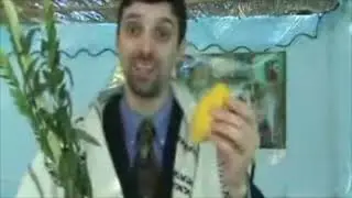 How to Shake the Lulav and Etrog