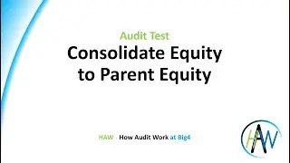 6.55 Audit Test - Consolidated Equity to Parent Equity * Preview *