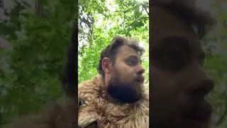 Дневник Скандинава