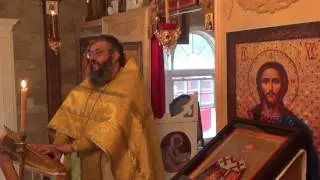 НЕТ ЕДИНОМЫШЛЕННИКОВ