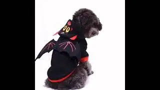 $1.98/pc Bat Wings for Dogs Cat Halloween Costumes Halloween Pet Costume Party Dress Up Funny Cool