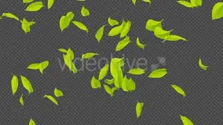 4K Falling Leaves V3 6 in 1 | Motion Graphics - Envato elements