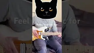 Music for cats #feelgoodinc #cat #gorillaz #funnycat #catmusic #catvideos #funnyvideo #funny #cover