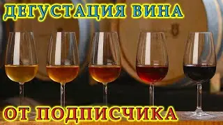 Дегустация вина от нашего подписчика | 7 различных вкусов