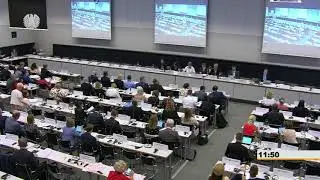 Bahar Muradova - Committee on Democracy and Human Rights / OSCE PA Berlin 2018
