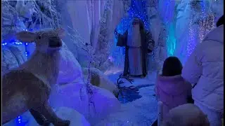 Новогодняя ёлка в Беларуси, Дана Молл 2023/2024 (Christmas tree in Belarus, Dana Mall)