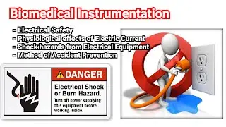 EE372 | Module VI | Class 4 | Electrical Safety | Effects of Electric Shock | KTU | EEE | S6