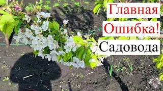 Главная ОШИБКА Садовода!