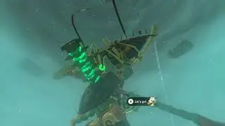 Part 12 - TloZ - A Longplay of Tears of the Kingdom The Legend of Zelda