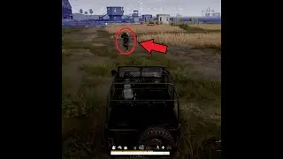 10 kill win with some roadkill 🏃‍♂️🚗 