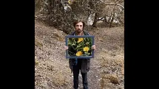 Bingo Harry - Dandelion Song - Official Video