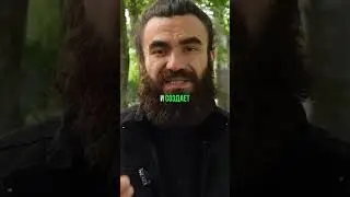 Хороший ли ты человек? Исследования человечности