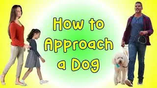 👧🐶 Kids Meet Dogs Safely: Dexter Guides Dog Safety Tips 🐾🐶 Dexter the Dog and Friends