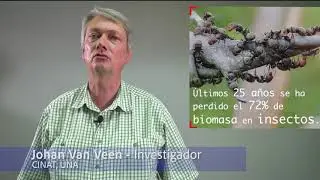 La Desaparición de los Insectos _ CINAT