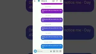 DMing MrBeast until he notices me - Day 500