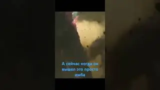 а как вам Годзилла и Конг новая империя?