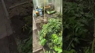 Раз два и готово👍