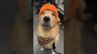 Kevin gets spooked!