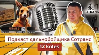 Андрей Шубин 