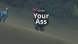 Valheim Shenanigans