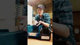 Fresh Picked Parts | Broil King