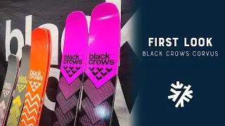 2024-2025 Black Crows Corvus Quick Review | Powder7