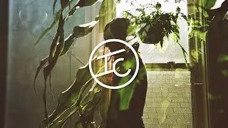 Asal Hazel - Only Reason