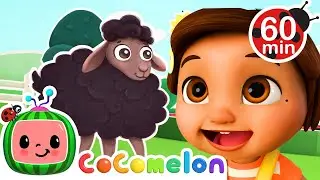 Nina finds the Baa Baa Black Sheep | with Nina and JJ | Cocomelon Nursery Rhymes for Kids