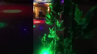 Просто сидеть и молчать и молчать ни о чем