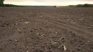 Посевная 2021