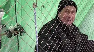 КЛАССНАЯ ВЫСТАВКА-ЯРМАРКА ГОЛУБЕЙ!ДОНЕЦК!2021