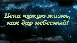 Светлана Малова - Закон (+ текст)