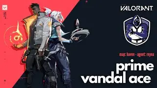 Valorant Prime Vandal Ace on Haven