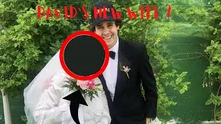 David Dobrik Best TikToks 2020 (so far...)