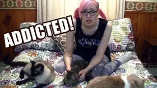 Addicted! | TradeChat