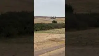 30 августа 2024 г.