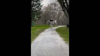 Imagine How Many Lives Will be Saved With this Technology! #shorts #short #bostondynamics