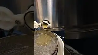 First Honey of 2021